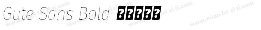 Gute Sans Bold字体转换